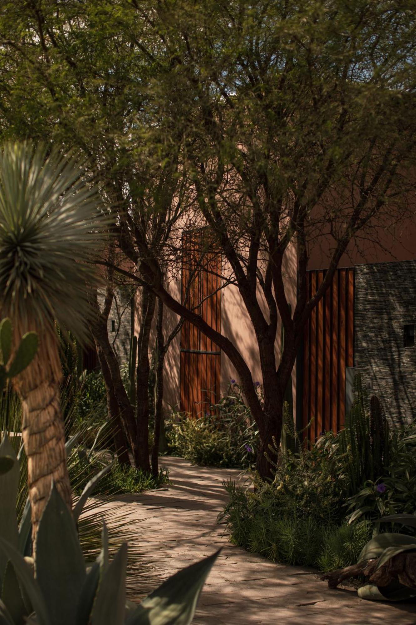 Quinta Amores Alojamiento El Penon Exterior photo